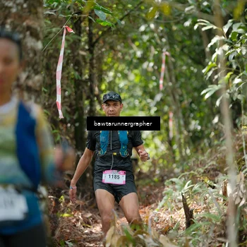 Runner Photo 5265887