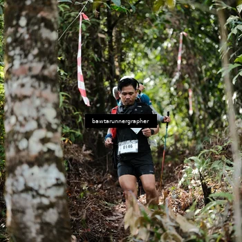 Runner Photo 5265909