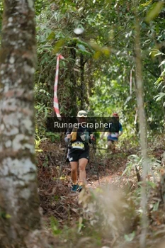 Runner Photo 5266068