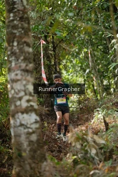 Runner Photo 5266071