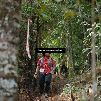 Runner Photo 5266278