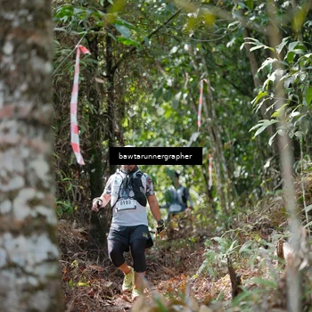 Runner Photo 5266304