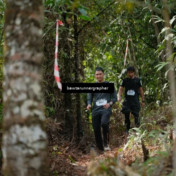 Runner Photo 5266422