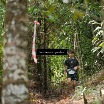 Runner Photo 5266429