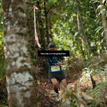 Runner Photo 5266577
