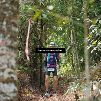 Runner Photo 5266579