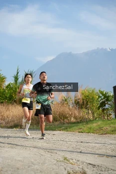 Runner Photo 5266594