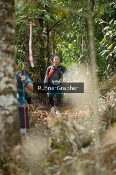 Runner Photo 5266734