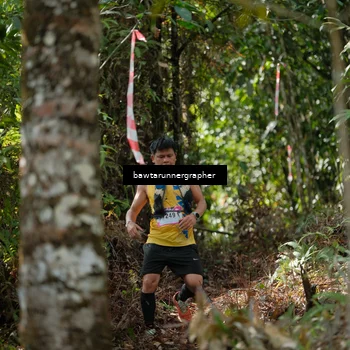Runner Photo 5266830
