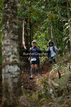 Runner Photo 5266948