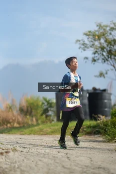 Runner Photo 5266982