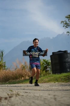 Runner Photo 5267171