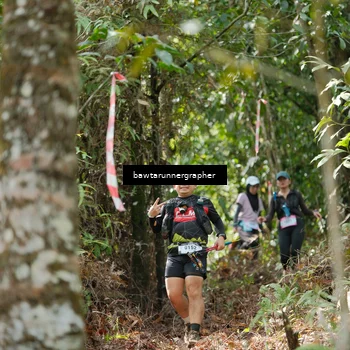 Runner Photo 5267305