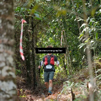 Runner Photo 5267339