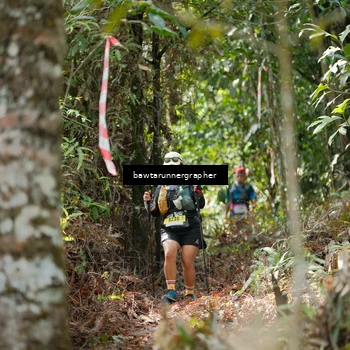 Runner Photo 5267409