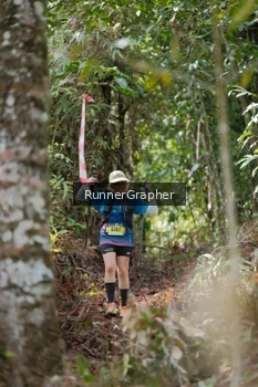 Runner Photo 5267538
