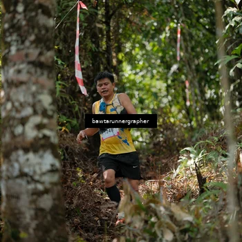 Runner Photo 5267708