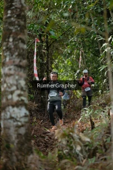 Runner Photo 5267764