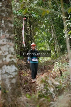 Runner Photo 5267899