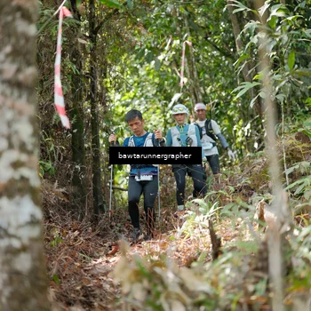 Runner Photo 5268354