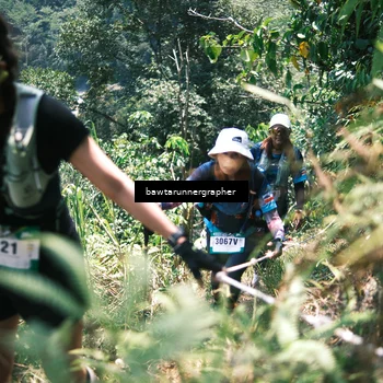 Runner Photo 5268524