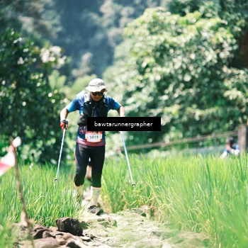 Runner Photo 5268531