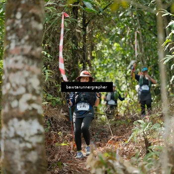 Runner Photo 5268898
