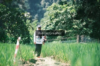 Runner Photo 5268948
