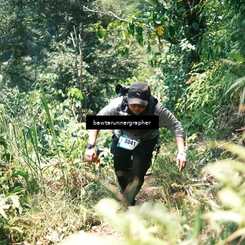 Runner Photo 5268988