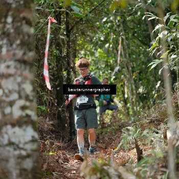 Runner Photo 5268996