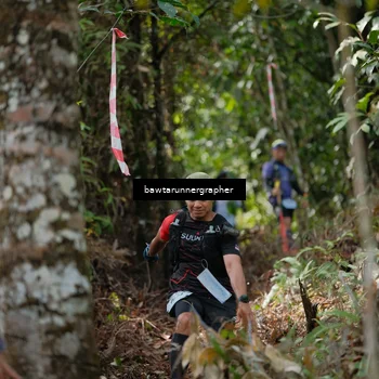 Runner Photo 5269015