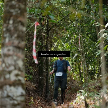 Runner Photo 5269082