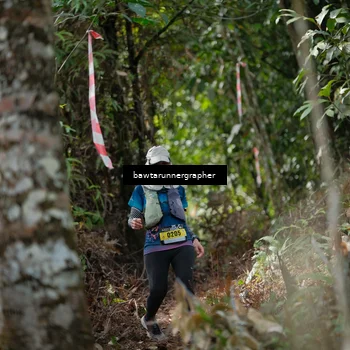 Runner Photo 5269193