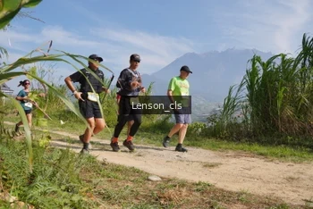 Runner Photo 5269887