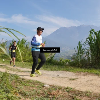 Runner Photo 5270184