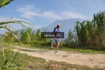Runner Photo 5270931