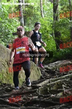 Runner Photo 527183