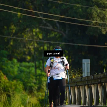 Runner Photo 5272831