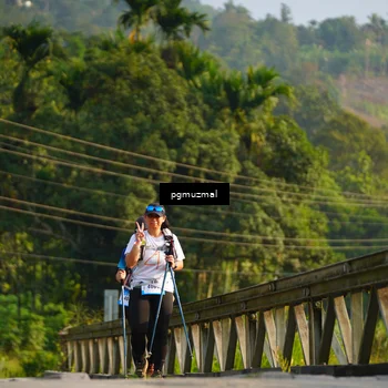 Runner Photo 5272873