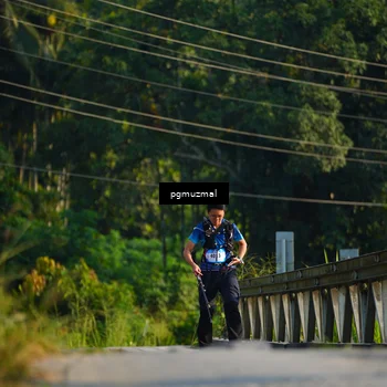 Runner Photo 5272941
