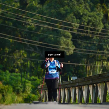 Runner Photo 5273157