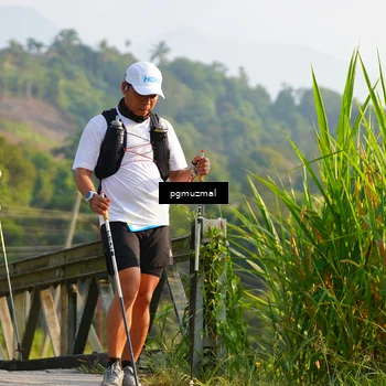 Runner Photo 5273519