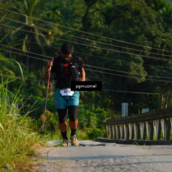 Runner Photo 5273586