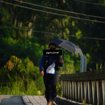 Runner Photo 5273695
