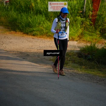 Runner Photo 5273726