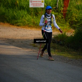Runner Photo 5273732