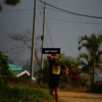 Runner Photo 5273747