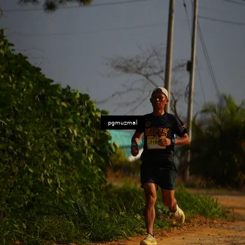 Runner Photo 5273770