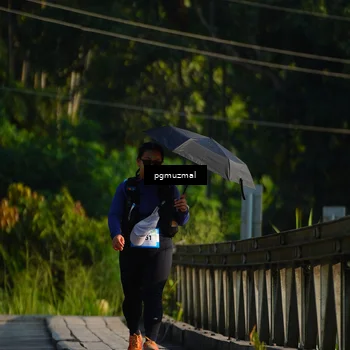 Runner Photo 5273771