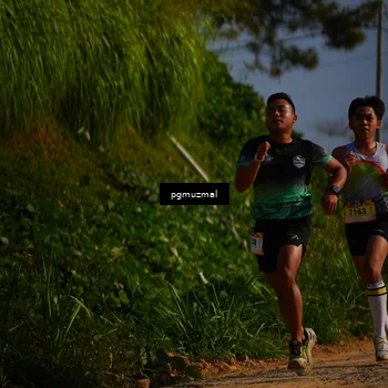 Runner Photo 5273772